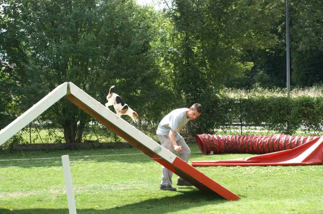 agility 2011-07-24
